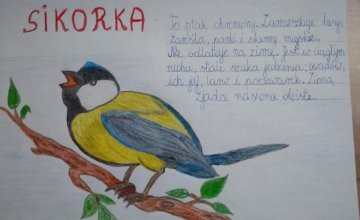 Lekcje przyrody - zwierzęta